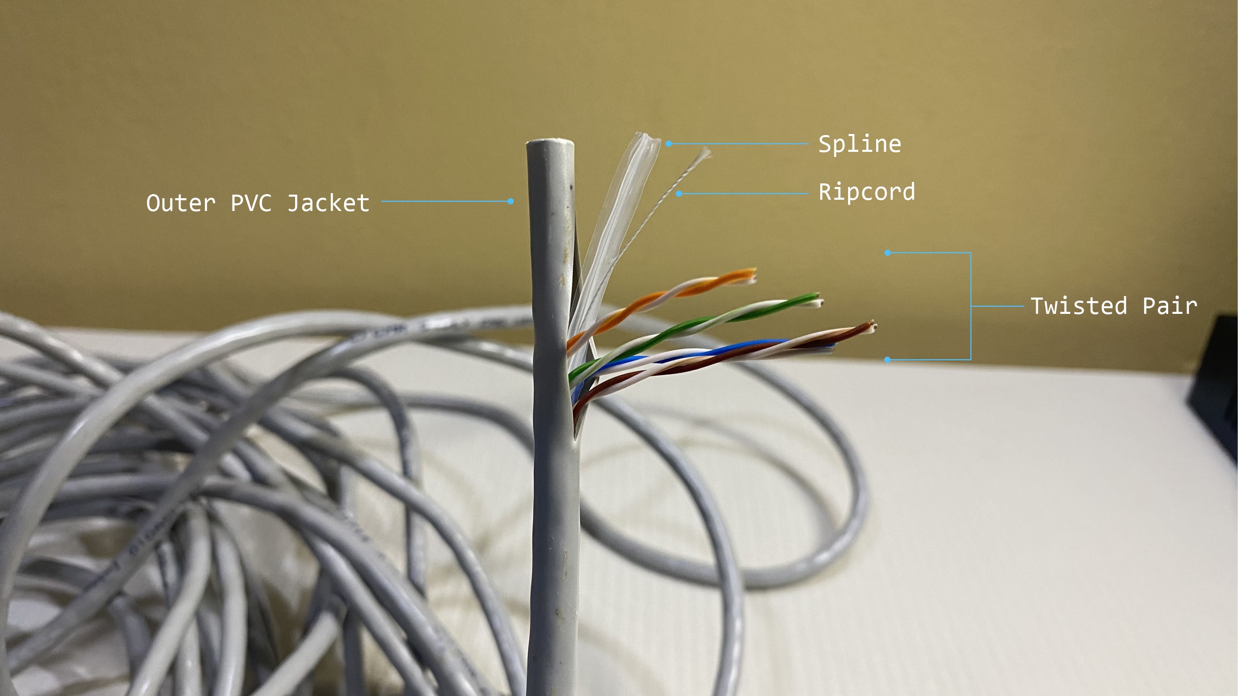 UTP Cable